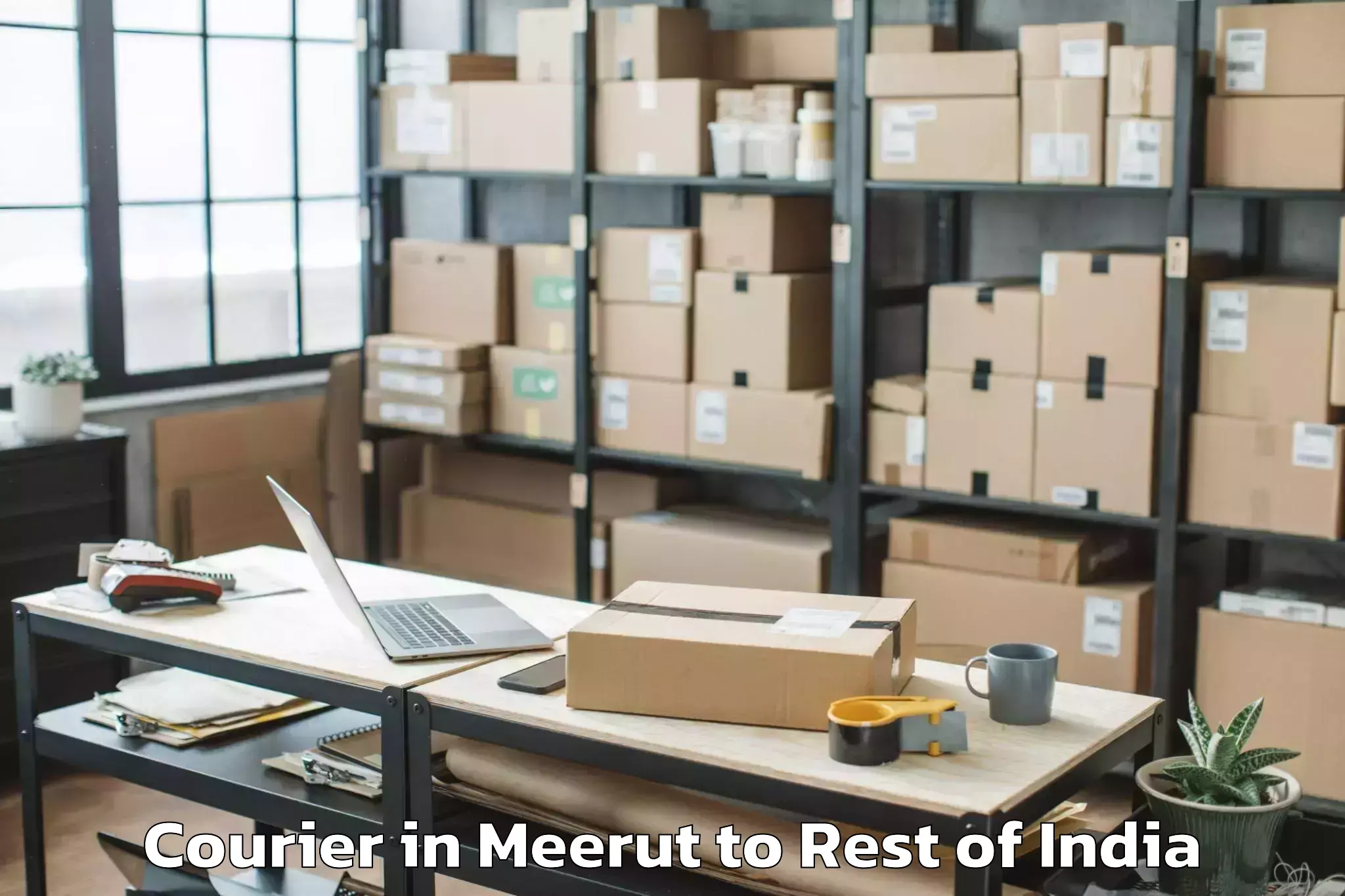 Reliable Meerut to Abishekapatti Courier